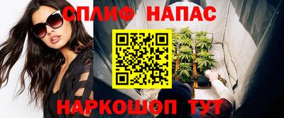 твердый Моздок