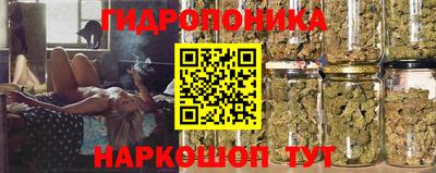 твердый Моздок