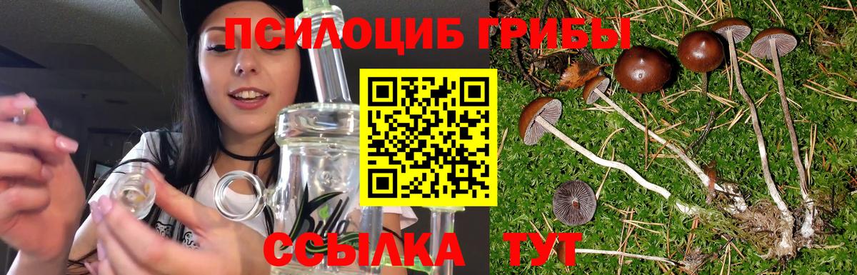 Галлюциногенные грибы GOLDEN TEACHER Юрга