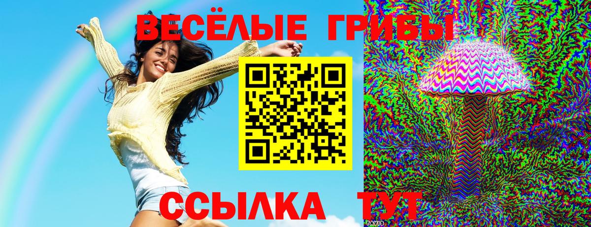 дарнет шоп  Псилоцибиновые грибы прущие грибы  Юрга  Вход с VPN  Галлюциногенные грибы мухоморы 
